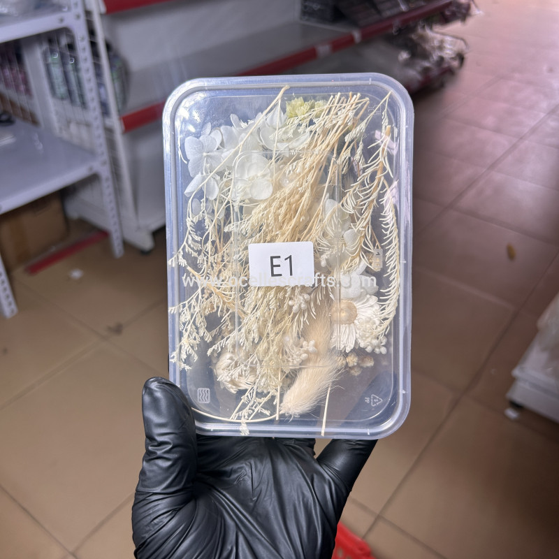 Dried Flowers E1