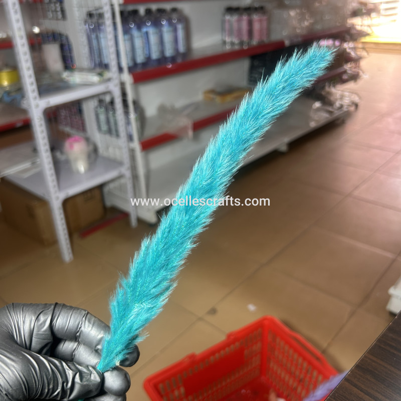 25cm-40cm Teal Small Pampas Grass