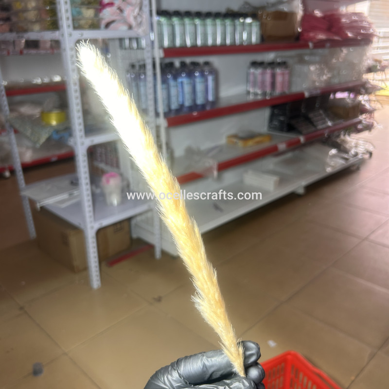 25cm-40cm Beige Small Pampas Grass