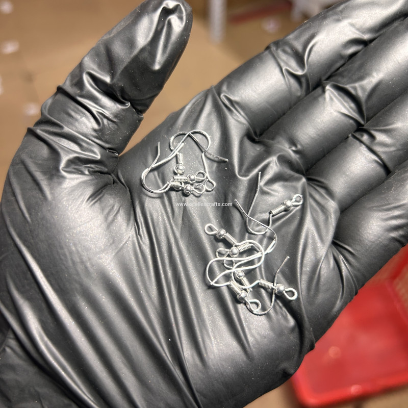 10pcs Silver Earring Hooks(5 pairs)