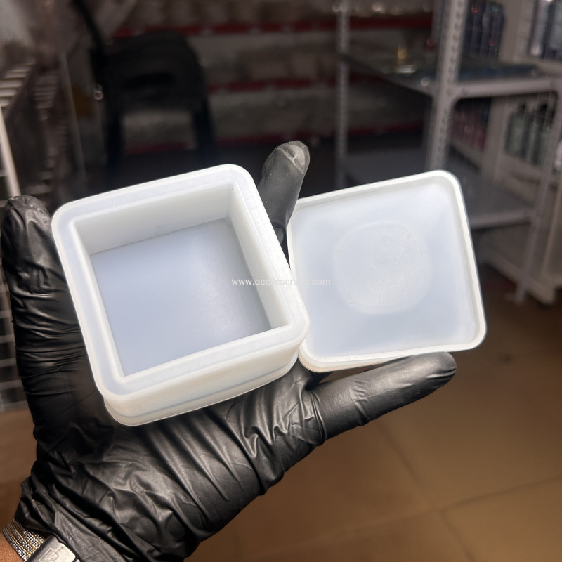 Square Shaped Storage Mold With Lid
