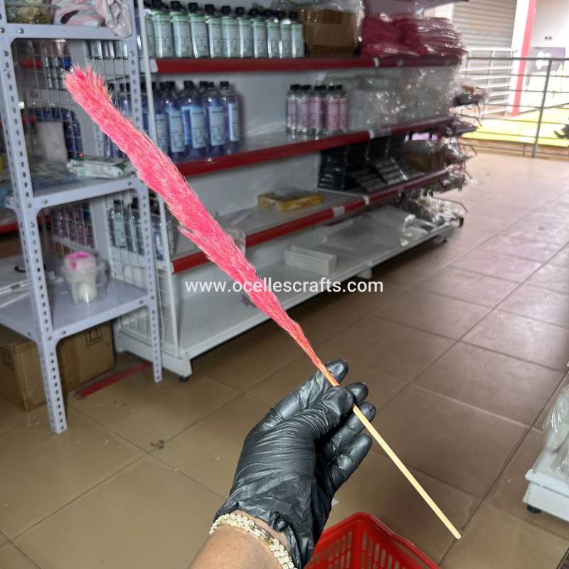 25cm-40cm Red Small Pampas Grass