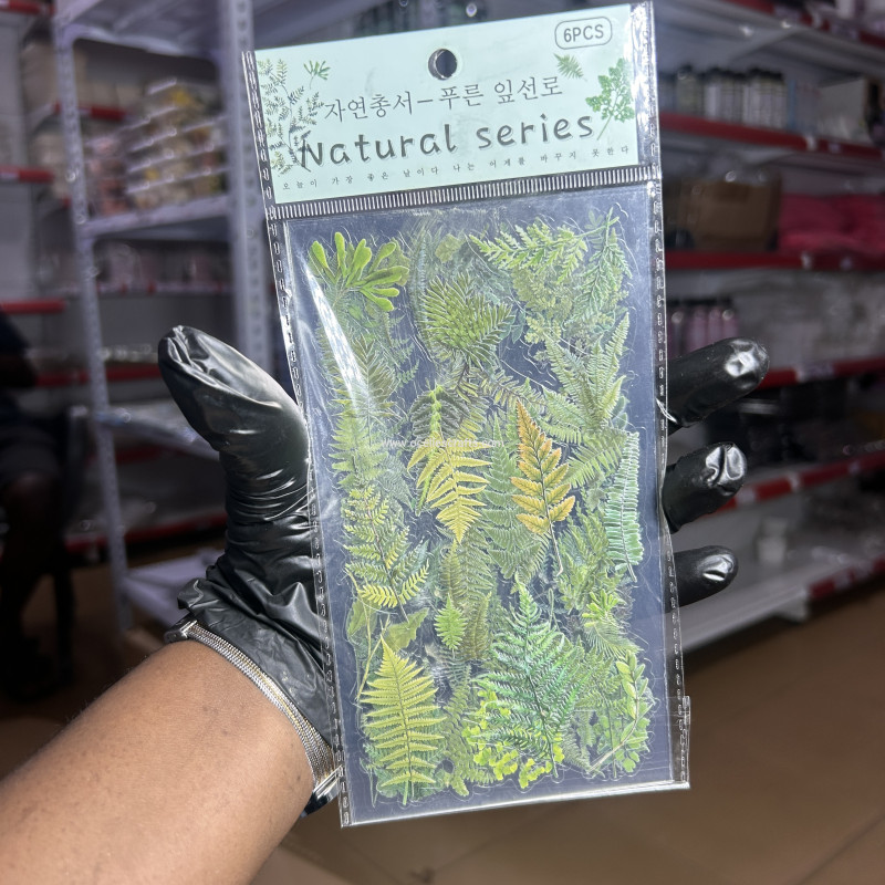 6pcs Palm Natural Series Sticker