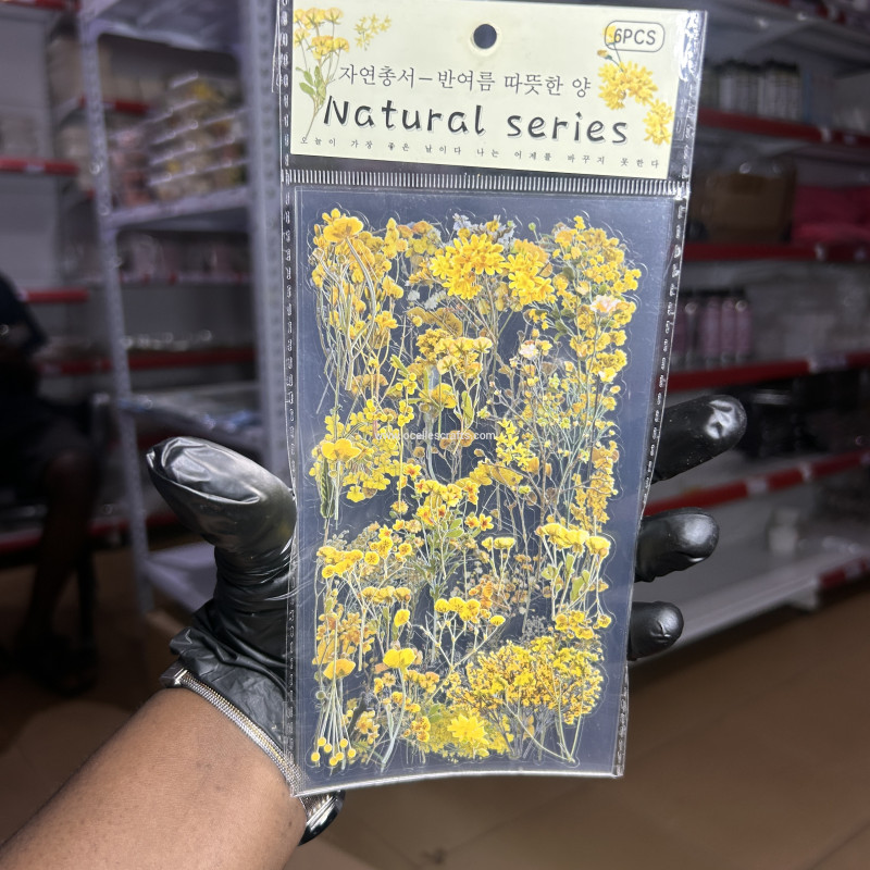 6pcs Yellow Natural Series Sticker