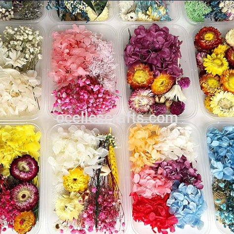 Dried Flowers